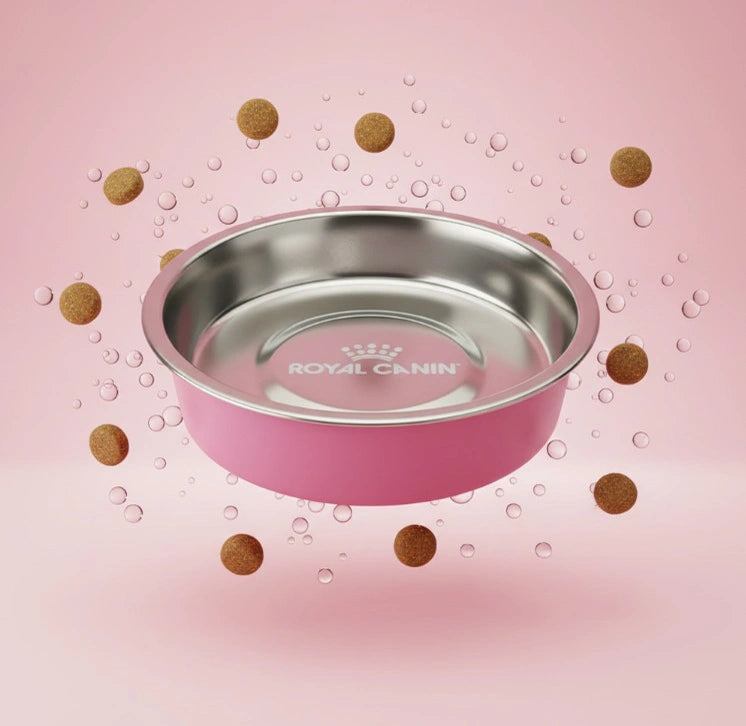 باقة الاكسسوارات المتكاملة للقطط - Cat Accessories Bundle
