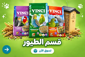 قسم الطيور