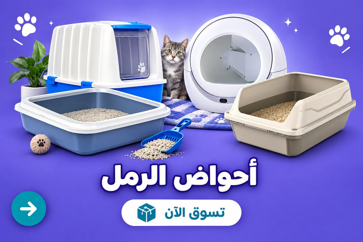 أحواض الرمل