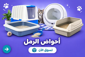 أحواض الرمل