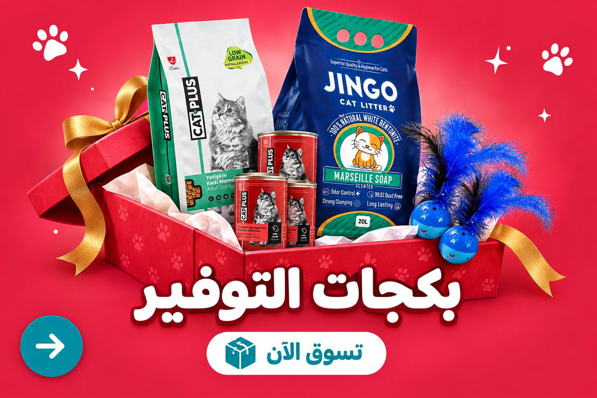 بكجات التوفير