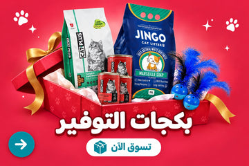 بكجات التوفير