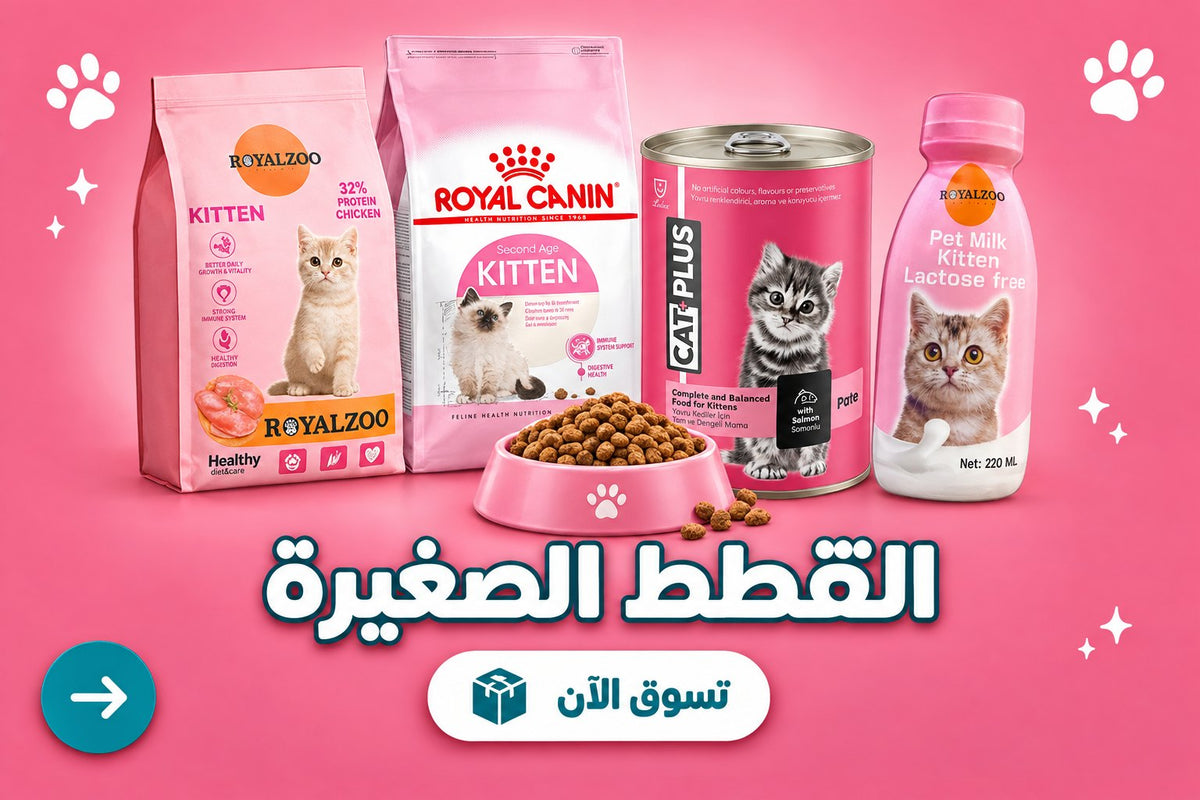 القطط الصغيرة