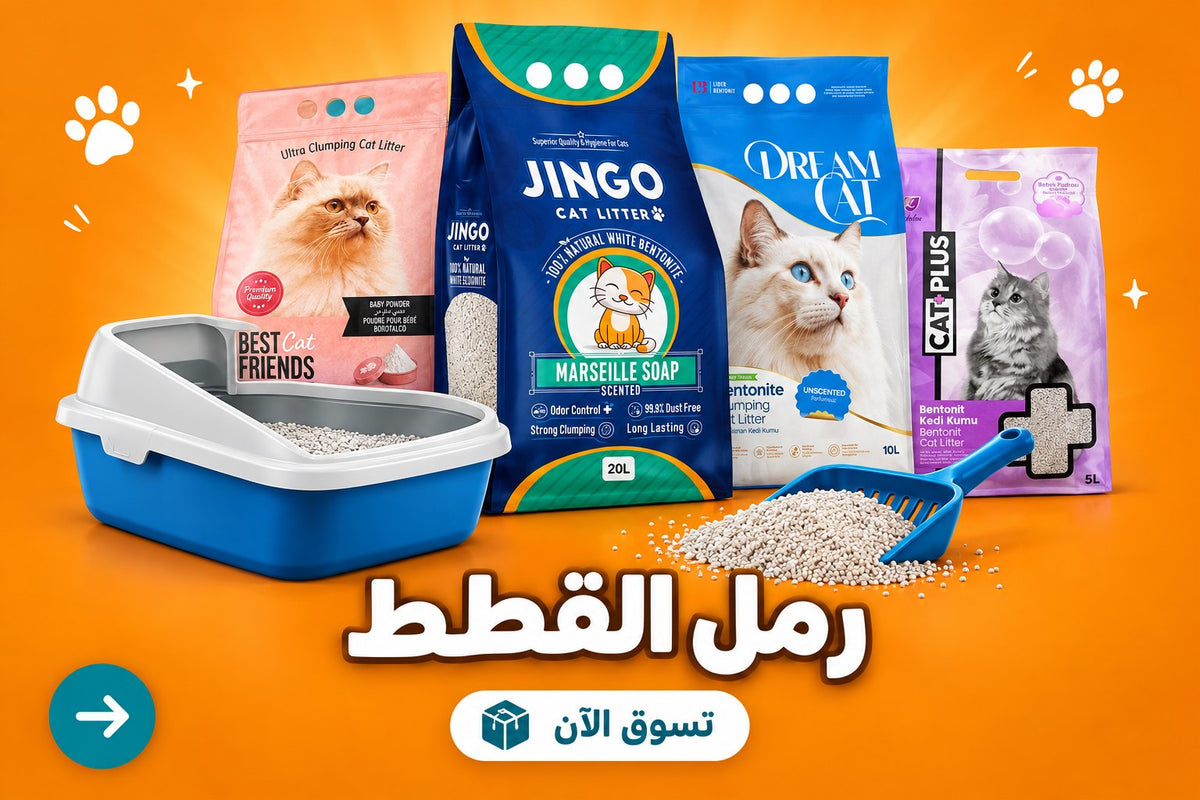 رمل القطط