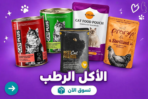 الأكل الرطب